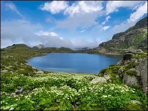 Chmury, Góry Pireneje, Rośliny, Skała, Kwiaty, Kamienie, Jezioro, Francja, Etang De Fontargentes
