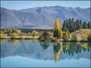 Góry, Nowa Zelandia, Jezioro, Jesień, Lasy, Lake Ruataniwha