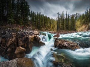 Kanada, Rzeka, Alberta, Głazy, Drzewa, Sunwapta River, Park Narodowy Jasper, Wodospad Sunwapta Falls, Skały