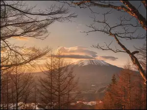 Góra, Stratowulkan, Japonia, Drzewa, Wyspa Honsiu, Chmury, Fudżi