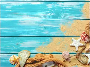 Rozgwiazdy muszelki i lina na piasku