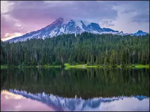 Góry, Jezioro, Stany Zjednoczone, Park Narodowy Mount Rainier, Stan Waszyngton, Chmury, Drzewa