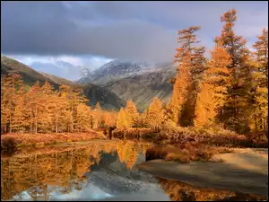 Drzewa, Jezioro, Rosja, Jesień, Góry, Kołyma, Jack London