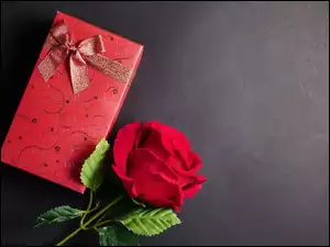 Prezent i czerwona róża na szarym tle