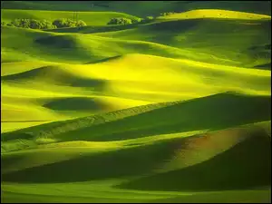Rozświetlone zielone wzgórza Palouse