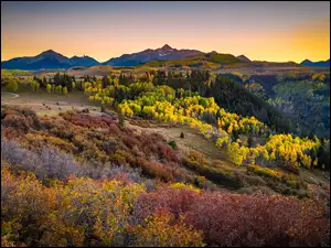 Jesienna roślinność z widokiem na górę Wilson Peak w Kolorado