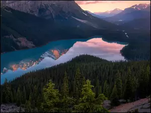 Lasy, Kanada, Góry Canadian Rockies, Zachód słońca, Park Narodowy Banff, Drzewa, Odbicie, Jezioro Peyto Lake