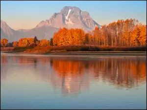 Stany Zjednoczone, Drzewa, Jesień, Teton Range, Park Narodowy Grand Teton, Jesień, Snake River, Rzeka, Góry, Stan Wyoming