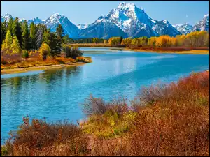 Stany Zjednoczone, Trawy, Jesień, Drzewa, Rzeka, Park Narodowy Grand Teton, Góry, Snake River, Teton Range, Stan Wyoming