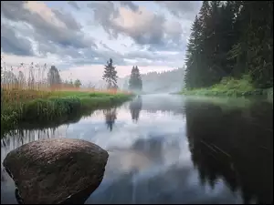 Drzewa, Chmury, Kamień, Rzeka, Mgła