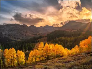 Promienie słońca, Chmury, Drzewa, Góry, Kalifornia, Stany Zjednoczone, Sonora Pass, Region Eastern Sierra, Jesień, Słońce