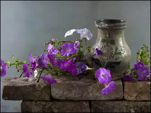 Fioletowe petunie i wazon na kamieniach