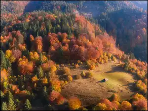 Jesień, Drzewa, Góry, Lasy, Wzgórza, Polana, Dom