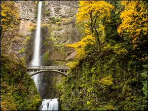 Jesień, Wodospad, Drzewa, Stan Oregon, Multnomah Falls, Las, Stany Zjednoczone, Most