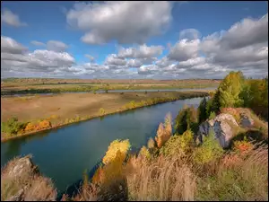 Drzewa i trawy nad rzeką Sylva płynącą przez pola kraju Permskiego w Rosji