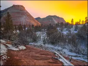 Stan Utah, Stany Zjednoczone, Wzgórza, Park Narodowy Zion, Drzewa, Śnieg, Zima