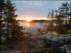 Chmury, Wschód słońca, Jezioro Ładoga, Rosja, Drzewa