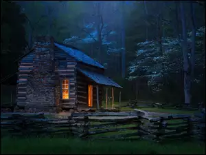 Oświetlona nocą chata w zielonym lesie