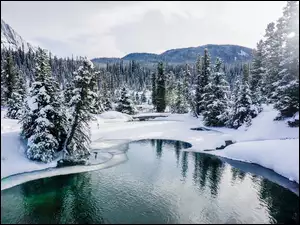 Zima, Góry, Drzewa, Johnston Creek, Prowincja Alberta, Kanada, Rezerwat Ink Pots, Park Narodowy Banff, Rzeka, Lasy