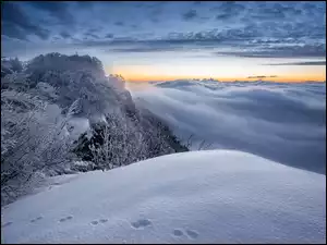 Mgła, Zima, Ośnieżone, Zachód słońca, Śnieg, Drzewa, Chmury, Góry