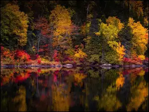 Kolorowe, Odbicie, Jezioro, Jesień, Drzewa