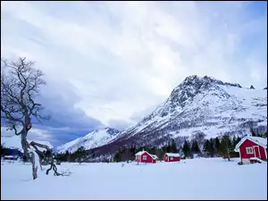 Góry, Zima, Domy, Drzewa, Czerwone, Śnieg