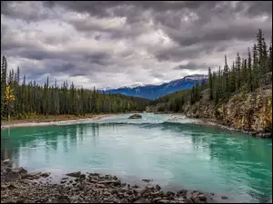 Park Narodowy Jasper, Rzeka Athabaskana, Świerki, Alberta, Góry, Kamienie, Kanada, Skały