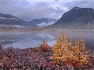 Jezioro Jack London, Góry Kołymskie, Obwód magadański, Jesień, Drzewa, Rosja