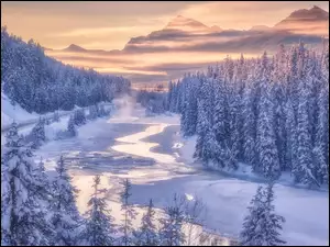 Kanada, Canadian Rockies, Park Narodowy Banff, Góry, Rzeka, Zima, Świerki, Śnieg, Ośnieżone, Alberta