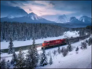 Pędzący pociąg na tle ośnieżonych drzew i gór w Parku Narodowym Banff w Kanadzie