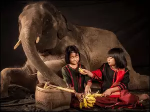 Dziewczynki z bananami koło słonia