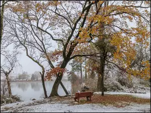 Park, Śnieg, Staw, Jesień, Ławka