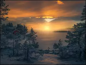 Norwegia, Drzewa, Ringerike, Wschód słońca, Mgła, Dom, Zaśnieżone, Zima, Jezioro