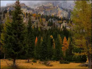 Góry, Jesień, Drzewa, Modrzew, Skały, Świerki