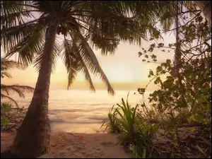 Plaża na Malediwach o wschodzie słońca