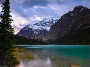 Las, Chmury, Astoria River, Park Narodowy Jasper, Góra, Alberta, Drzewa, Góry, Rzeka, Mount Edith Cavell, Kanada