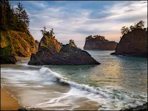Samuel H Boardman State Scenic Corridor, Morze, Wybrzeże, Oregon, Skały, Park stanowy, Stany Zjednoczone, Drzewa