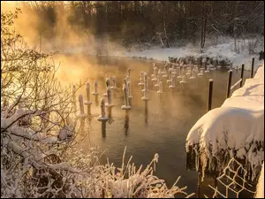 Ośnieżone kołki i mgła unosząca się nad zimową rzeką