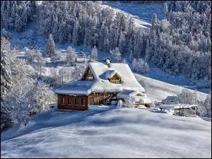 Śnieg, Zima, Góry, Dom, Drzewa, Lasy