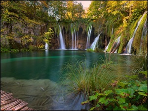 Jezioro, Wodospad, Drzewa, Chorwacja, Park Narodowy Jezior Plitwickich, Rośliny