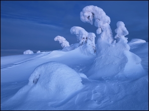 Zimowy krajobraz na Półwyspie Kolskim w Rosji