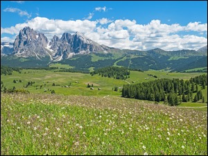 Łąka i domy na Płaskowyżu Seiser Alm we włoskich Dolomitach