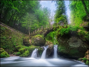 Wodospad Schiessentumpel, Mostek, Roślinność, Luksemburg, Drzewa, Las, Rzeka Black Ernz