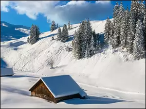 Góry, Śnieg, Domki, Zima, Szopy, Drewniane, Drzewa