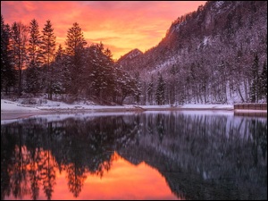 Słowenia, Góry, Gmina Zirovnica, Śnieg, Odbicie, Jezioro, Lake Zavrsnica, Zachód słońca, Drzewa