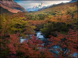 Góra Fitz Roy i jesienna roślinność w Parku Narodowym Los Glacieres