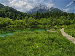Pomost, Góry, Rezerwat przyrody Zelenci, Kranjska Gora, Lasy, Trawa, Słowenia, Jezioro