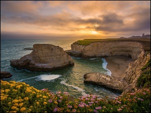 Klif, Wschód słońca, Hrabstwo Santa Cruz, Plaża Shark Fin Cove, Wybrzeże, Kalifornia, Kwiaty, Morze, Davenport, Skały, Stany Zjednoczone