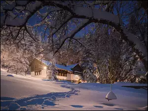 Drzewa, Dom, Śnieg, Zima, Oświetlony