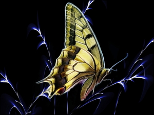 Fractalius motyla Jaskółczy ogon na źdźbłach trawy